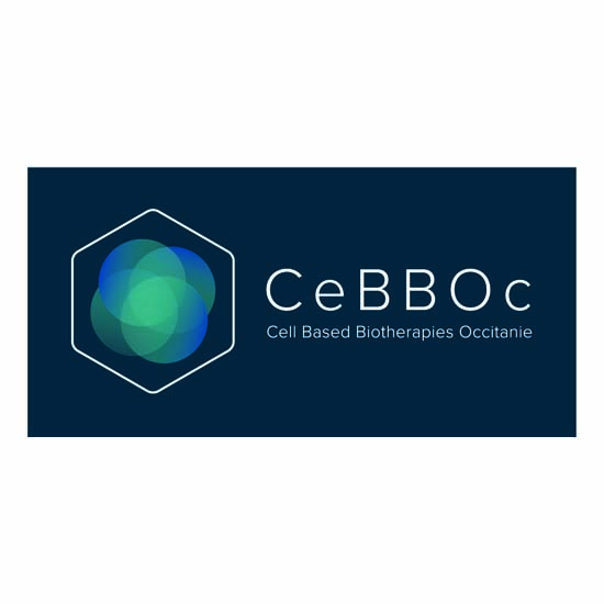 Logo CeBBOc (Cell Based Biotherapies Occitanie)